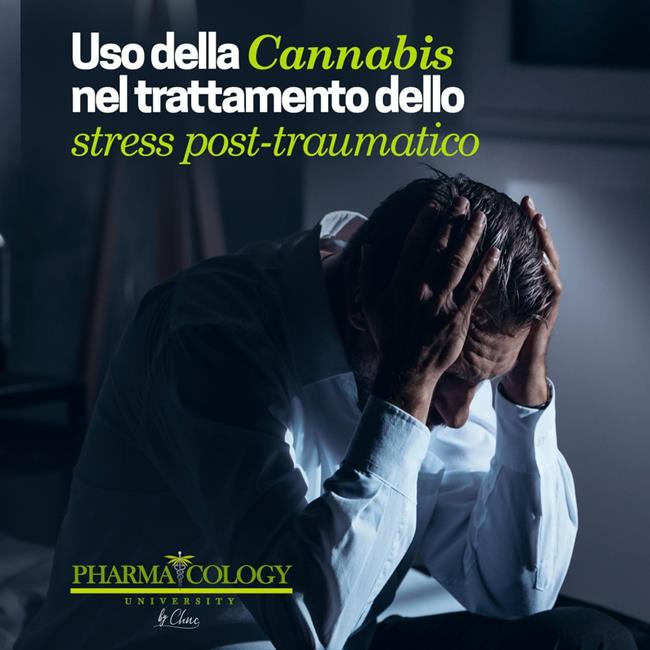 Libraccio Uso della Cannabis nel trattamento dello stress post-traumatico (audiolibro)