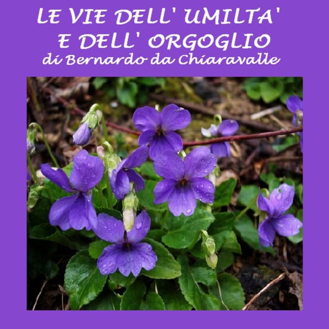 Libraccio Vie dell'umiltà e dell'orgoglio Le (audiolibro)