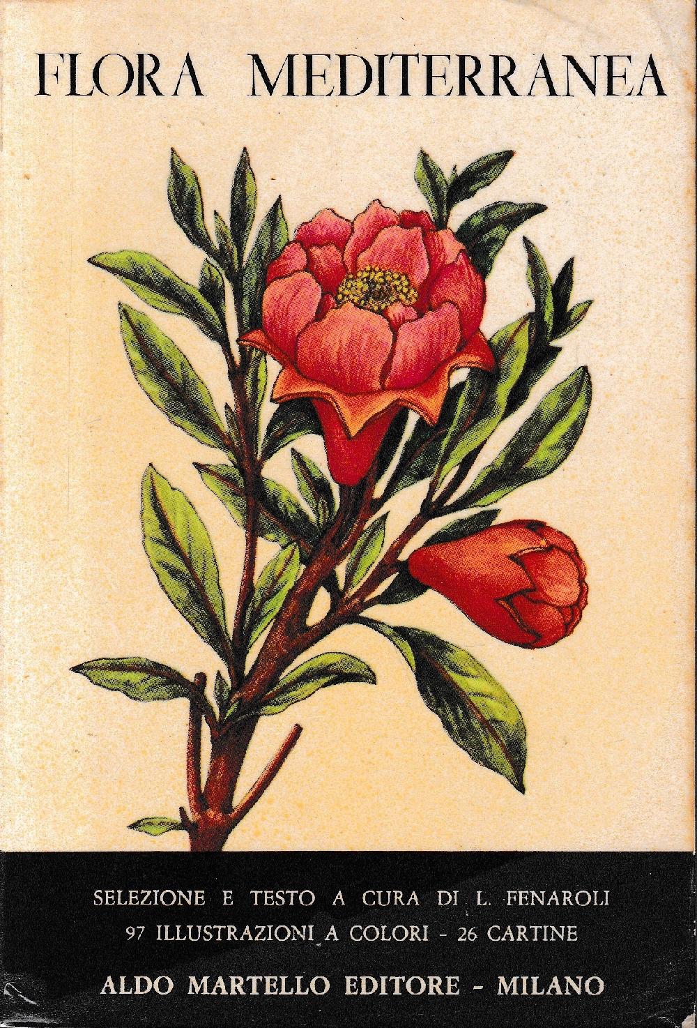 Abebooks Flora Mediterranea volume 2°