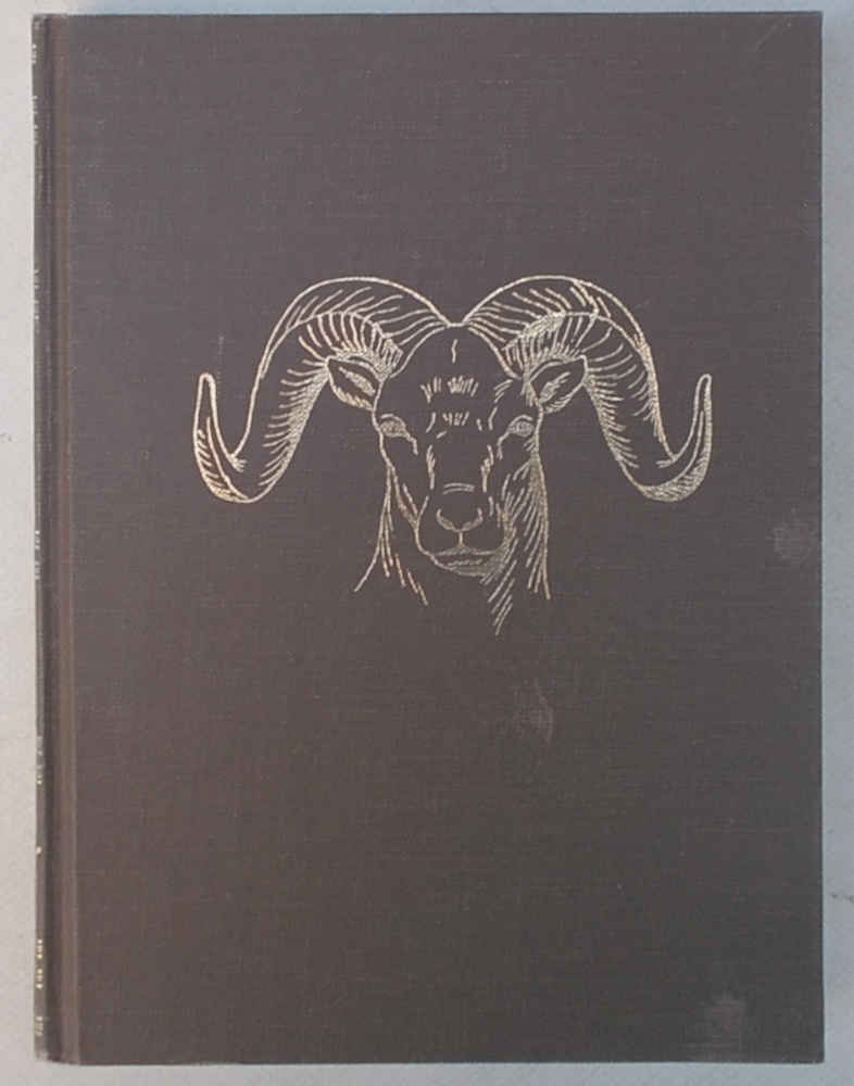 Abebooks Game in the desert revisited