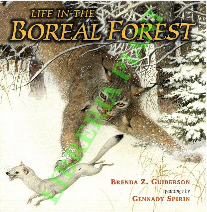 Abebooks Life in the Boreal Forest