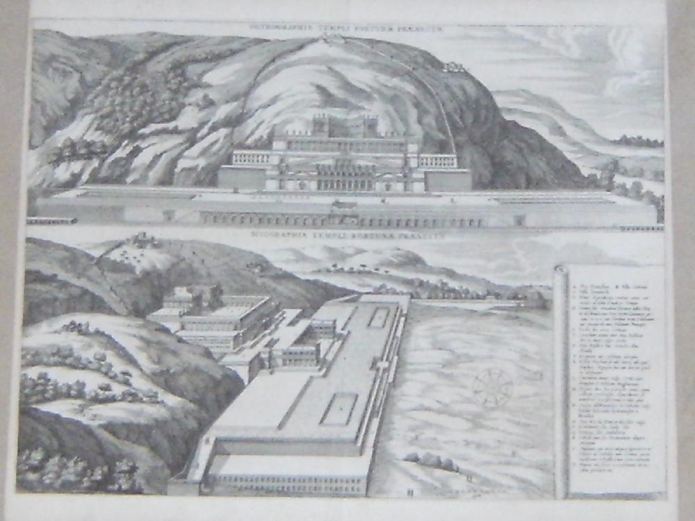 Abebooks Orthographia templi fortunae Praenesta