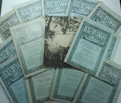 Abebooks Agricoltura senese. Due annate complete 1928-1929