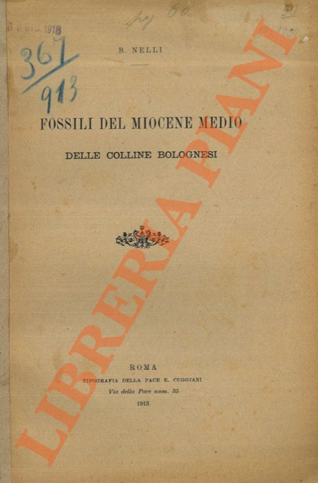 Abebooks Fossili del Miocene medio delle colline bolognesi