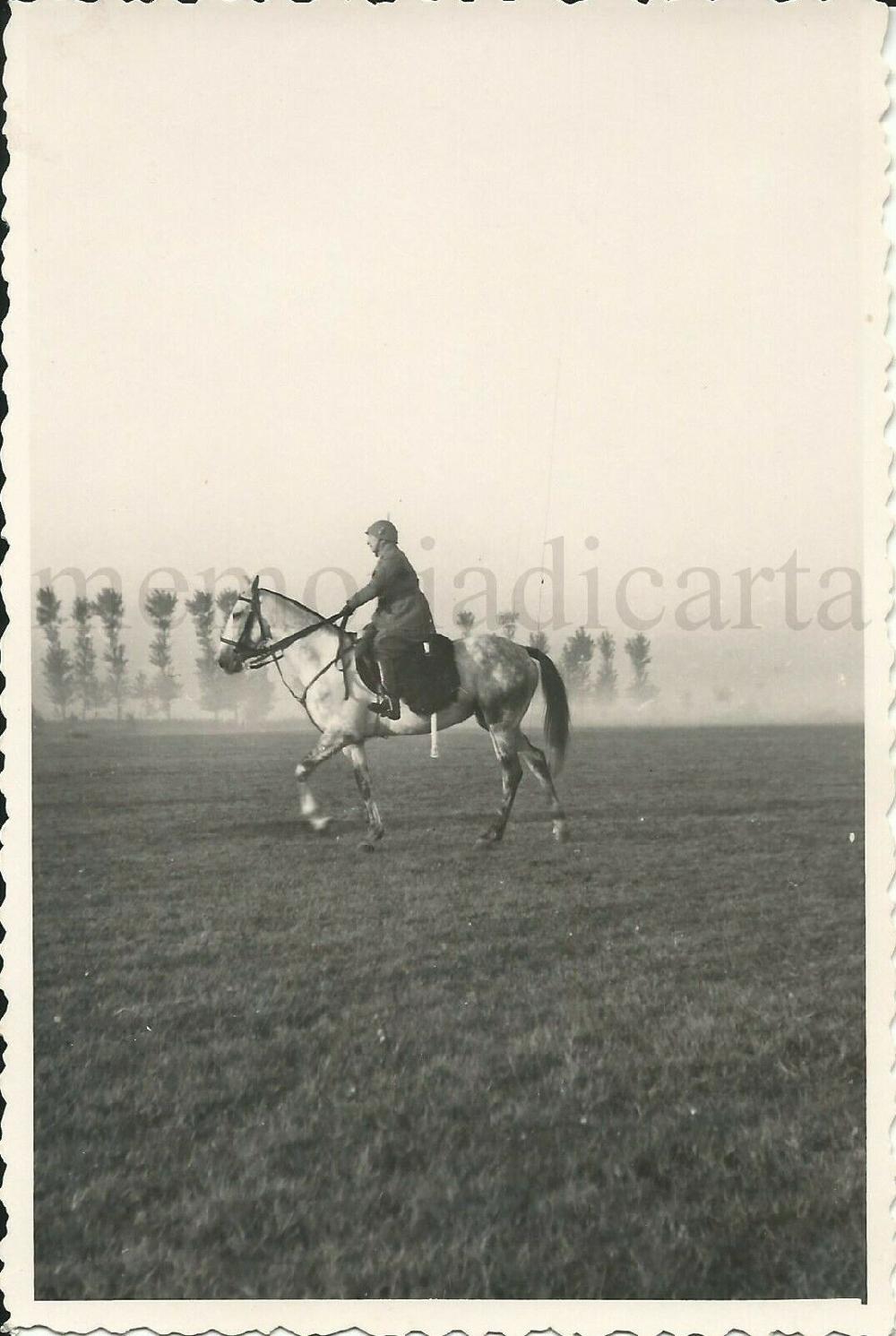 Abebooks Foto originale/autografo Col.Tarnassi Com 13°Cavalleggeri di Monferrato/Ferrara