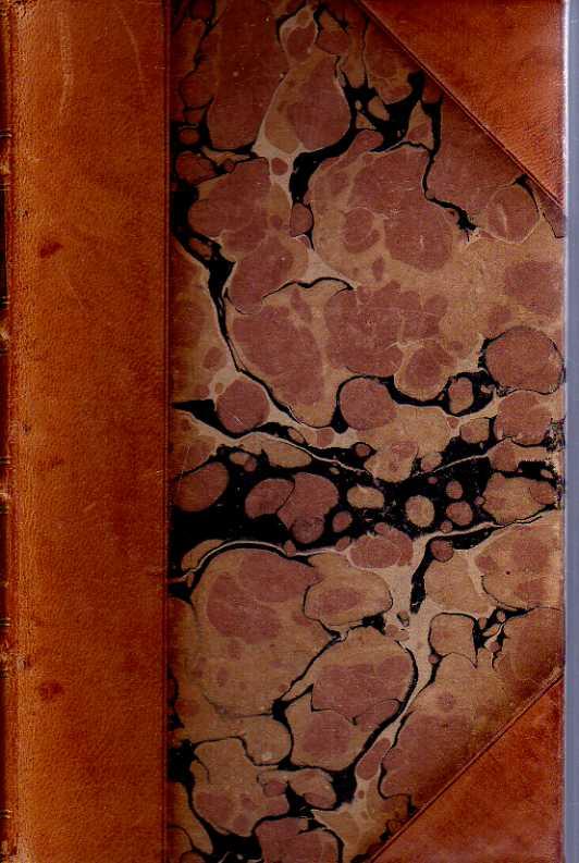 Abebooks Germanica. Raccolta di narratori dalle origini ai giorni nostri