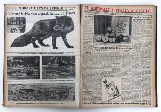 Abebooks Il Giornale d'Italia Agricolo. Annate 1931 - 1932