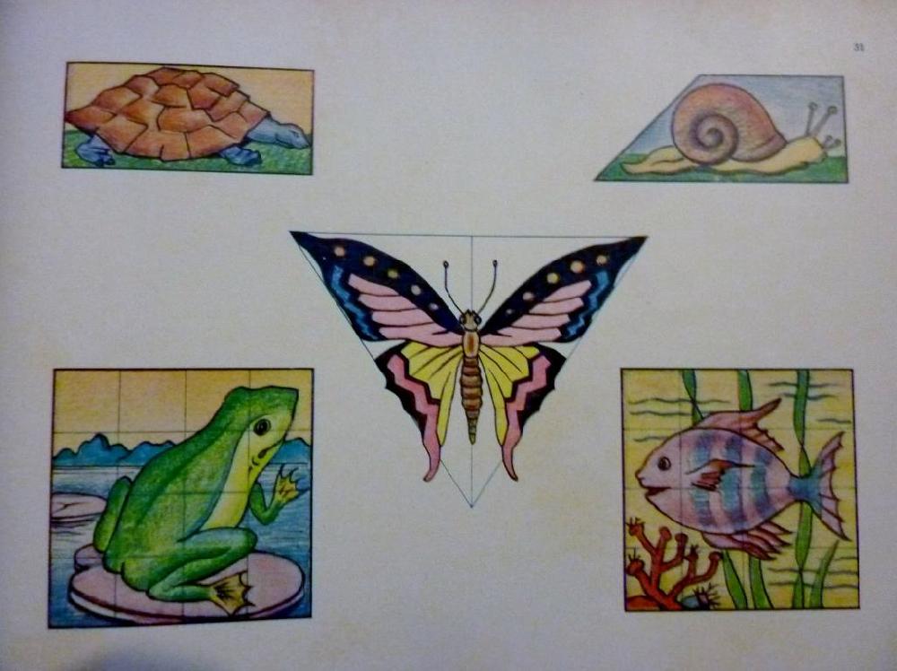 Abebooks "L'ARTE E IL FANCIULLO Corso di Disegno per la Scuola Media. Parte Seconda Terza Edizione"