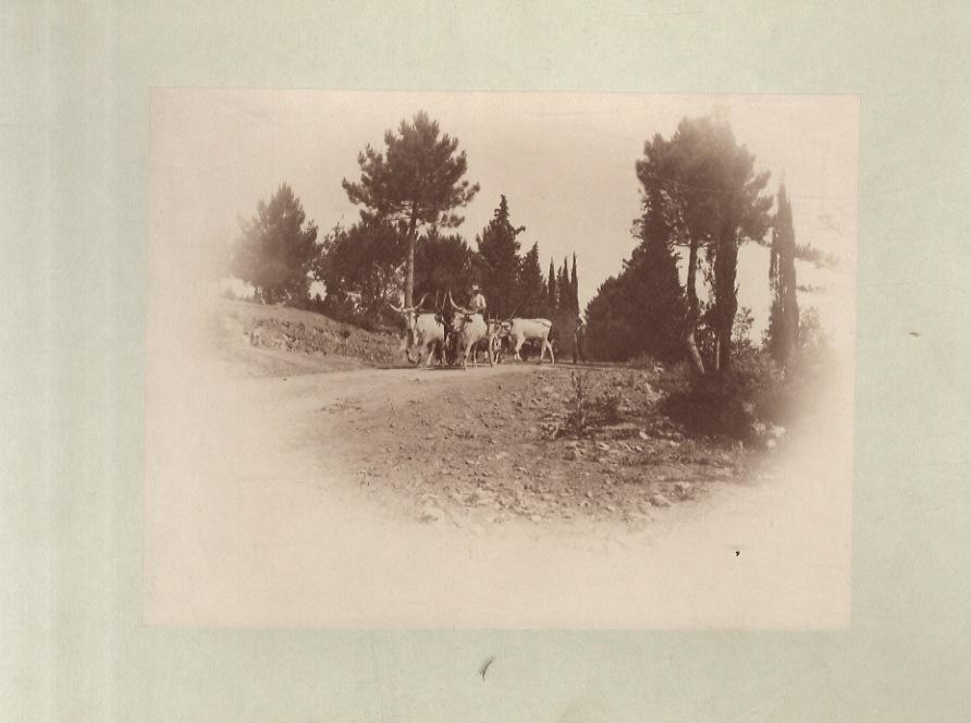 Abebooks LOTTO di 7 fotografie raffiguranti paesaggi o scene della campagna toscana