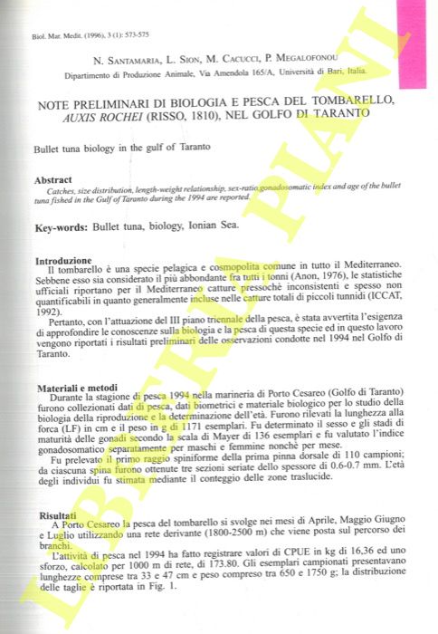 Abebooks Note preliminari di biologia e pesca del tombarello Auxis rochei (Risso 1810) nel Golfo di Taranto