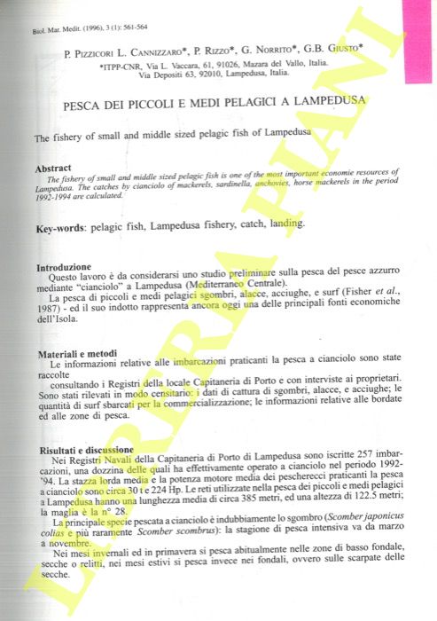 Abebooks Pesca dei piccoli e medi pelagici a Lampedusa