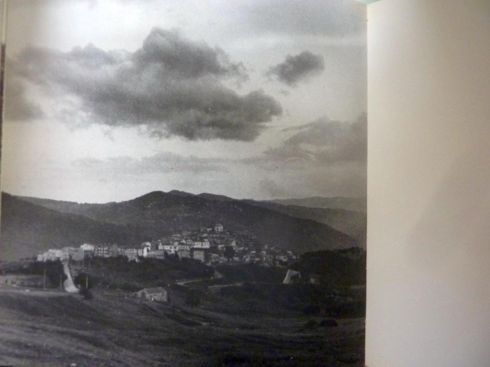 Abebooks TRIBUTO A LUIGI SCHIRONE a cura di Vito Francione