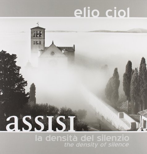 Libreriauniversitaria Assisi. La densità del silenzio. Ediz. italiana e inglese