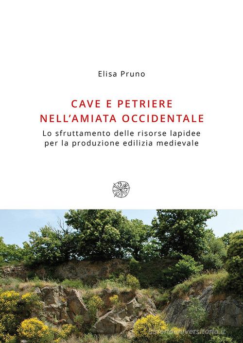 Libreriauniversitaria Cave E Petriere Nell'Amiata Occidentale. Lo Sfruttamento Delle Risorse Lapidee Per La Produzione Edilizia Medievale