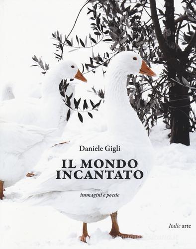 Libreriauniversitaria Il mondo incantato. Immagini e poesie