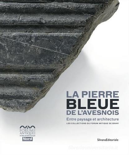 Libreriauniversitaria La pierre bleue de l'Avesnois. Entre paysage et architecture. Les collections du Forum Antique de Bavay