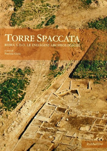 Libreriauniversitaria Torre spaccata