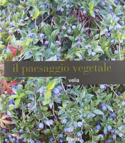 Libreriauniversitaria Velia: paesaggio vegetale
