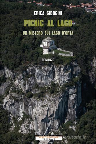 Libreriauniversitaria Picnic al lago. Un mistero sul lago d'Orta