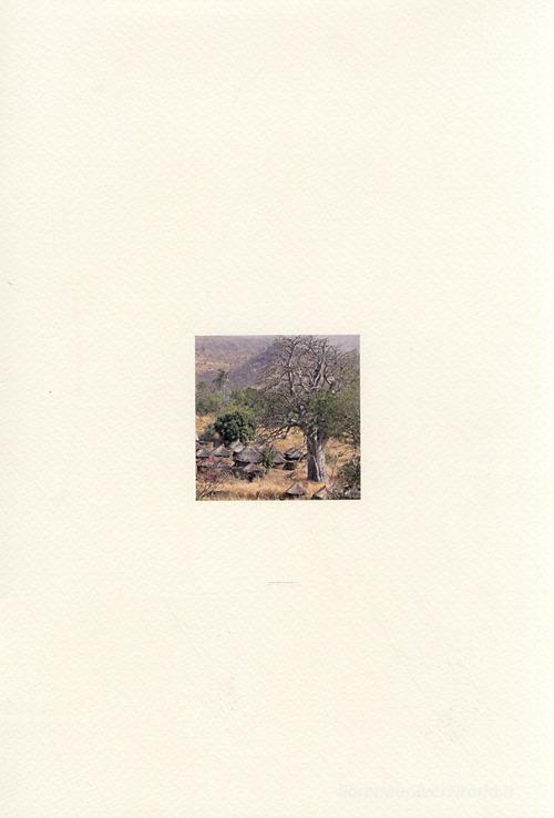 Libreriauniversitaria Taneka Beri. Premio internazionale Carlo Scarpa per il giardino