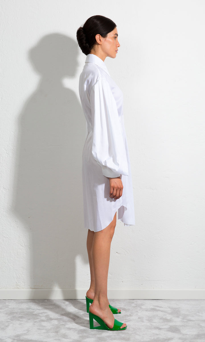 Sara Battaglia Butterfly Dress