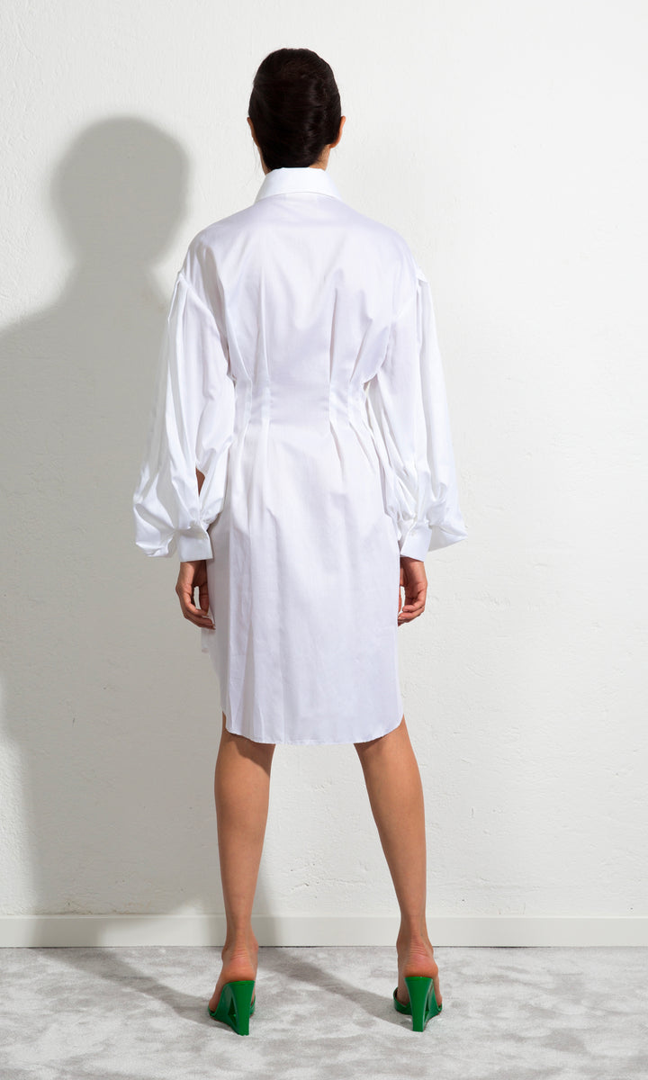 Sara Battaglia Butterfly Dress