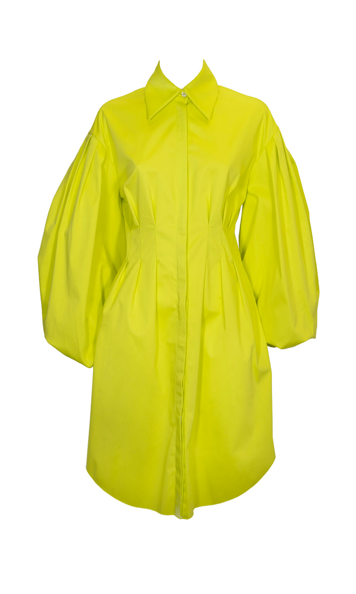 Sara Battaglia Butterfly Dress