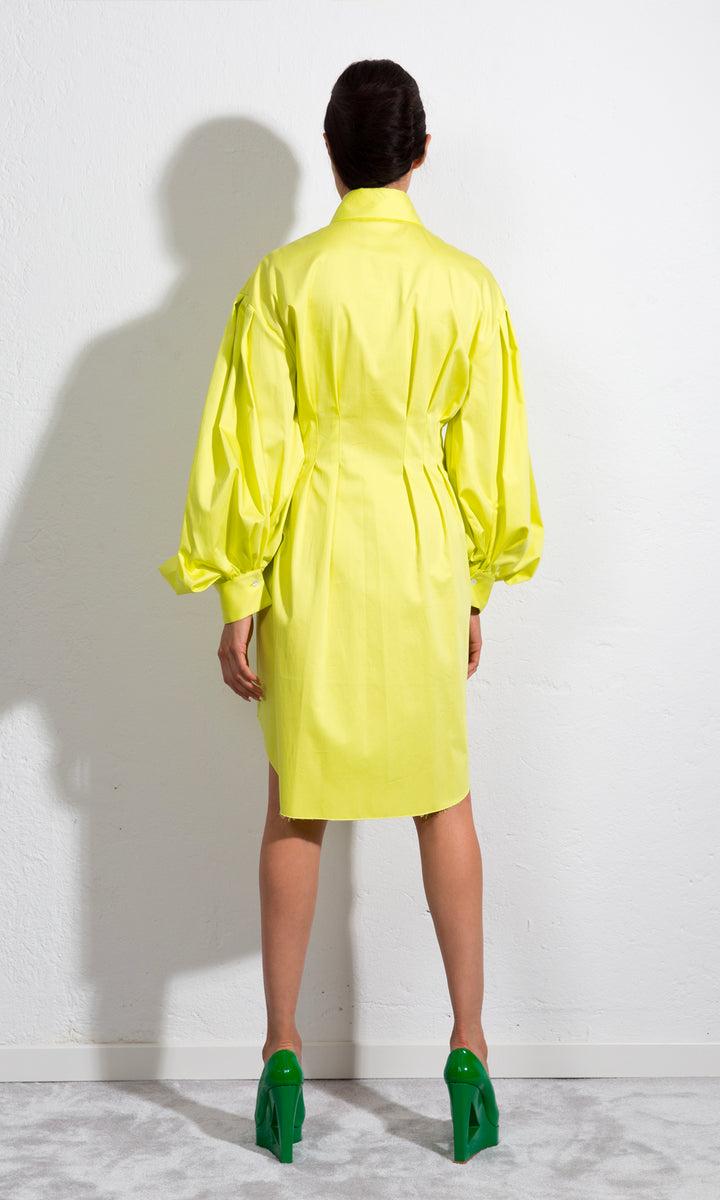 Sara Battaglia Butterfly Dress