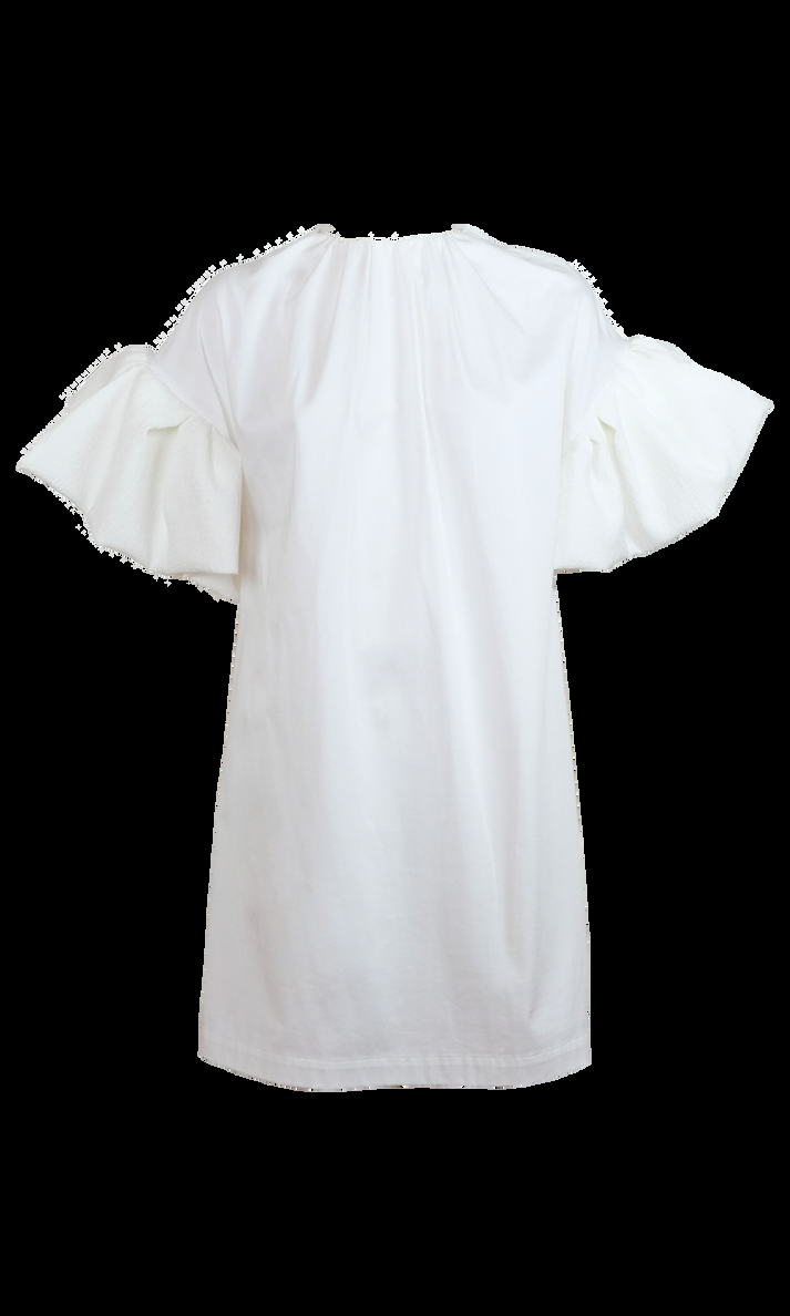 Sara Battaglia Easy Dress