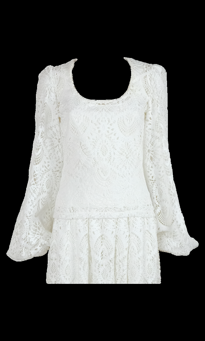 Sara Battaglia Lace Top