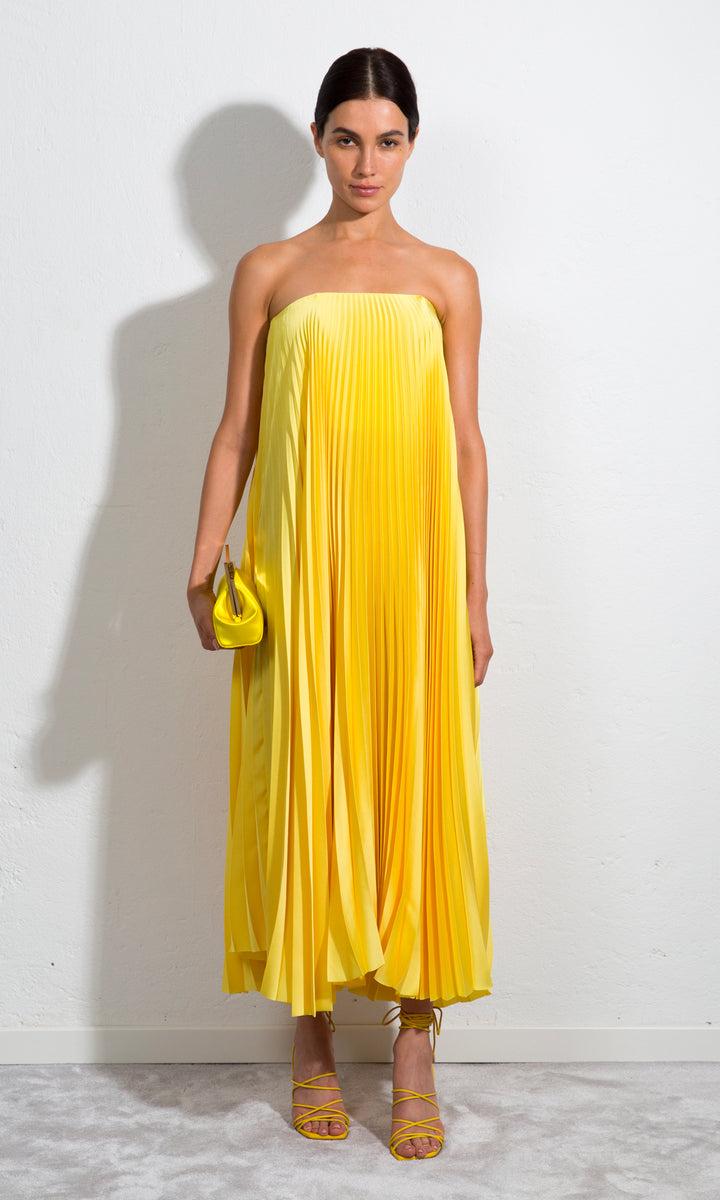 Sara Battaglia Plissé Dress