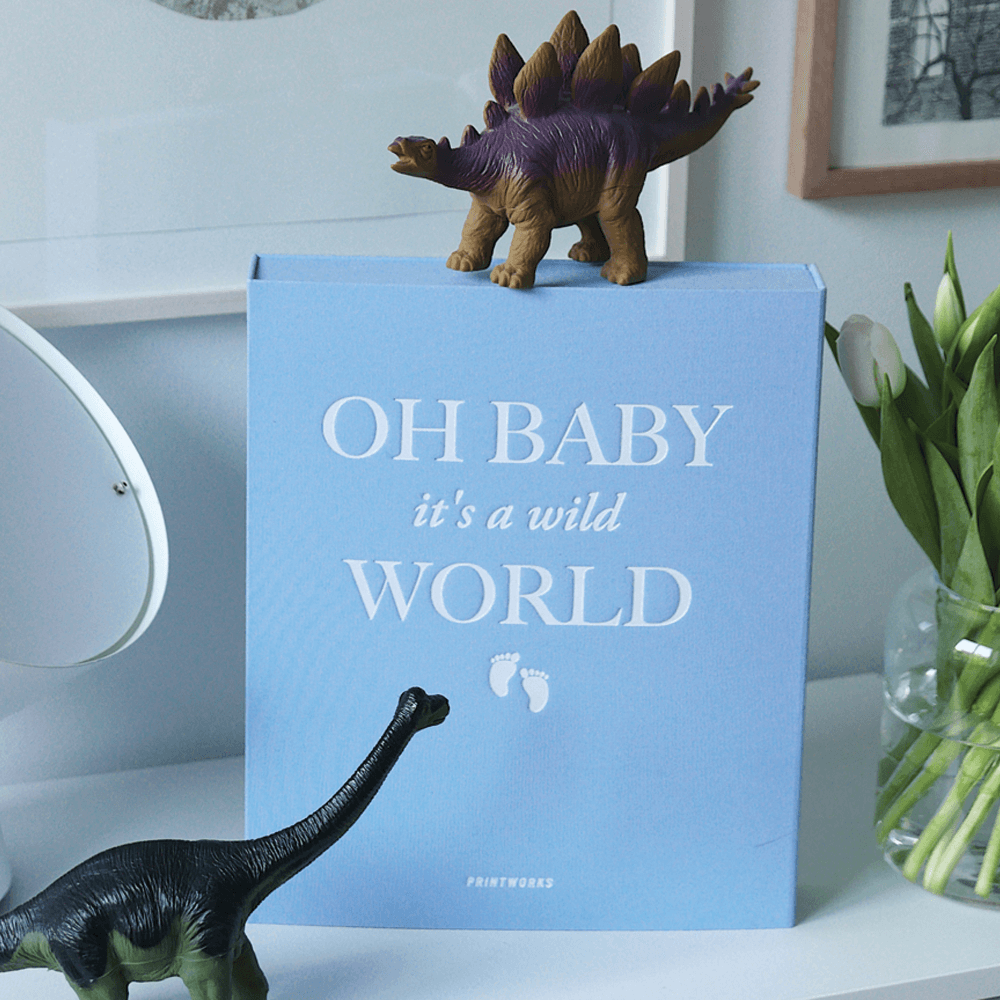 Sbam Design Album Per Fotografie “Oh Baby It’s A Wild World”