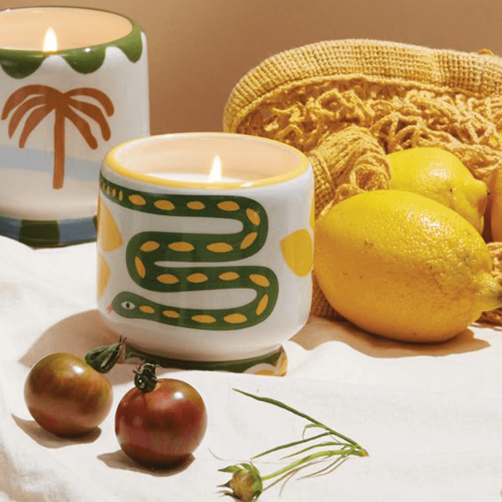 Sbam Design Candela Profumata In Vasetto Di Ceramica – Wild Lemongrass