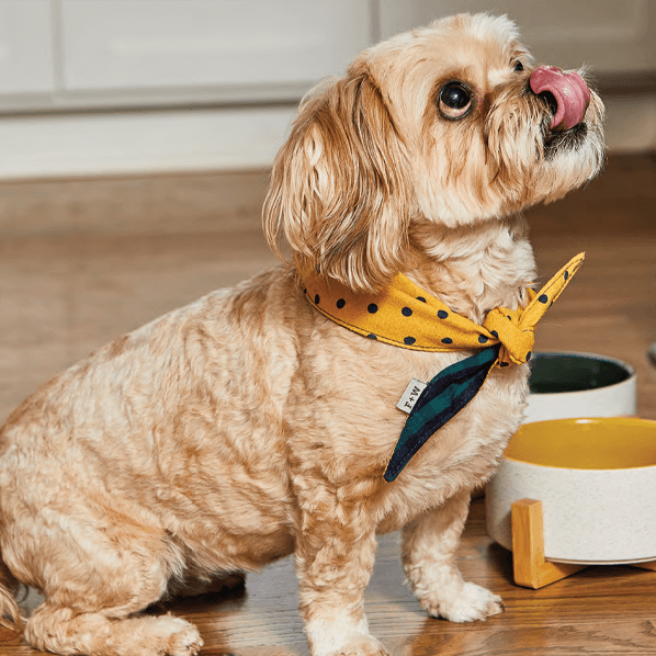 Sbam Design Bandana Reversibile