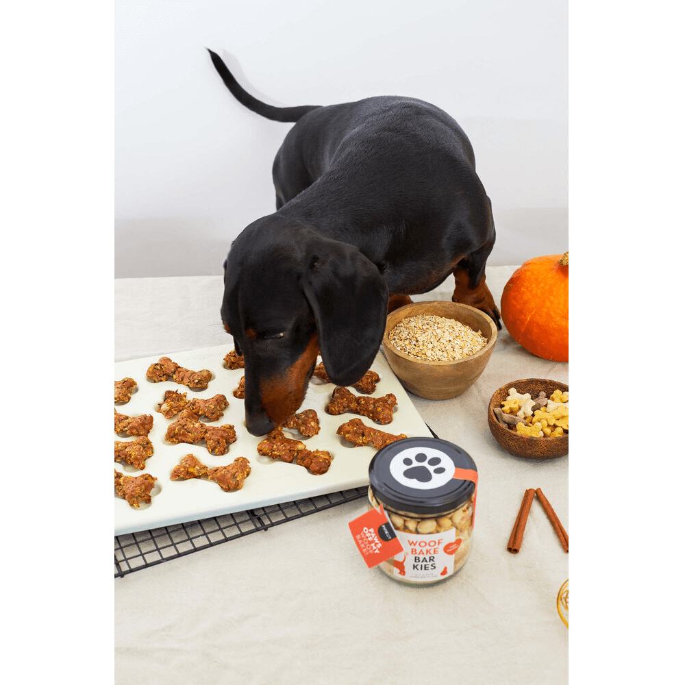 Sbam Design Biscotti Per Cani