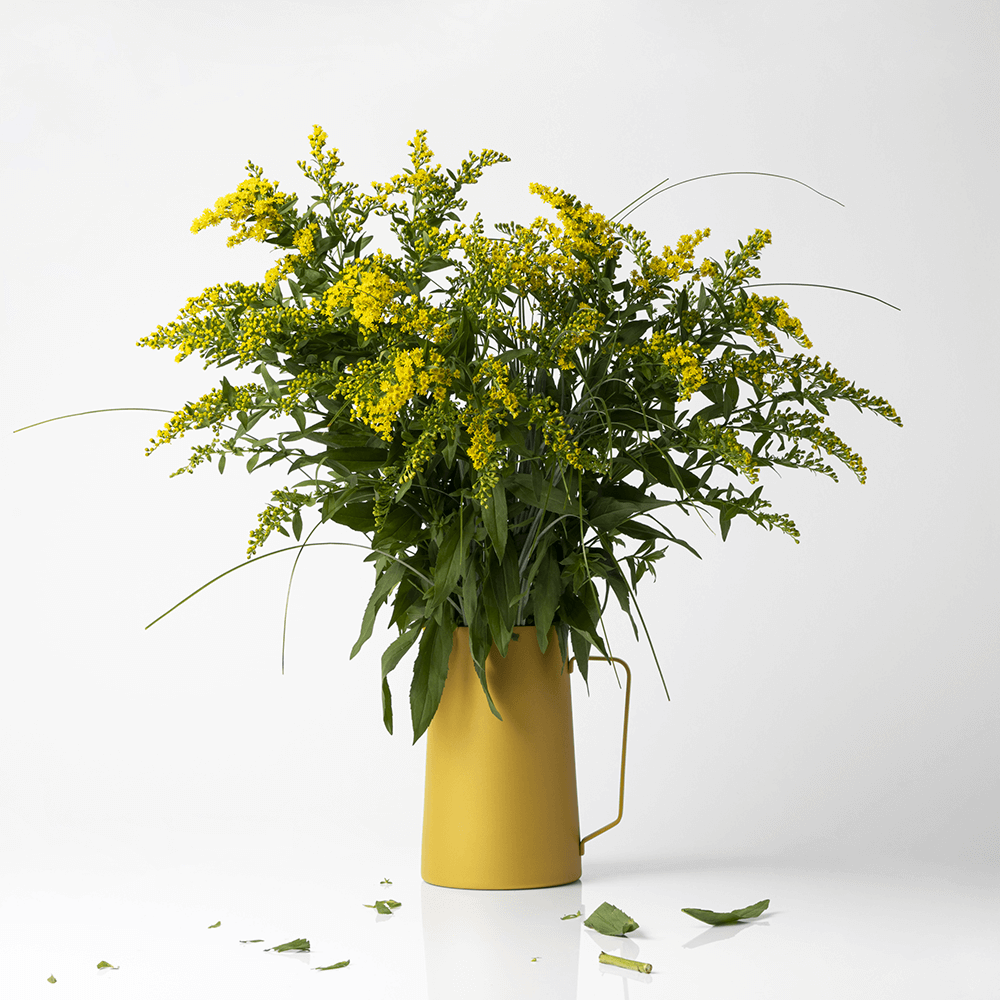 Sbam Design Brocca/Vaso – Diario