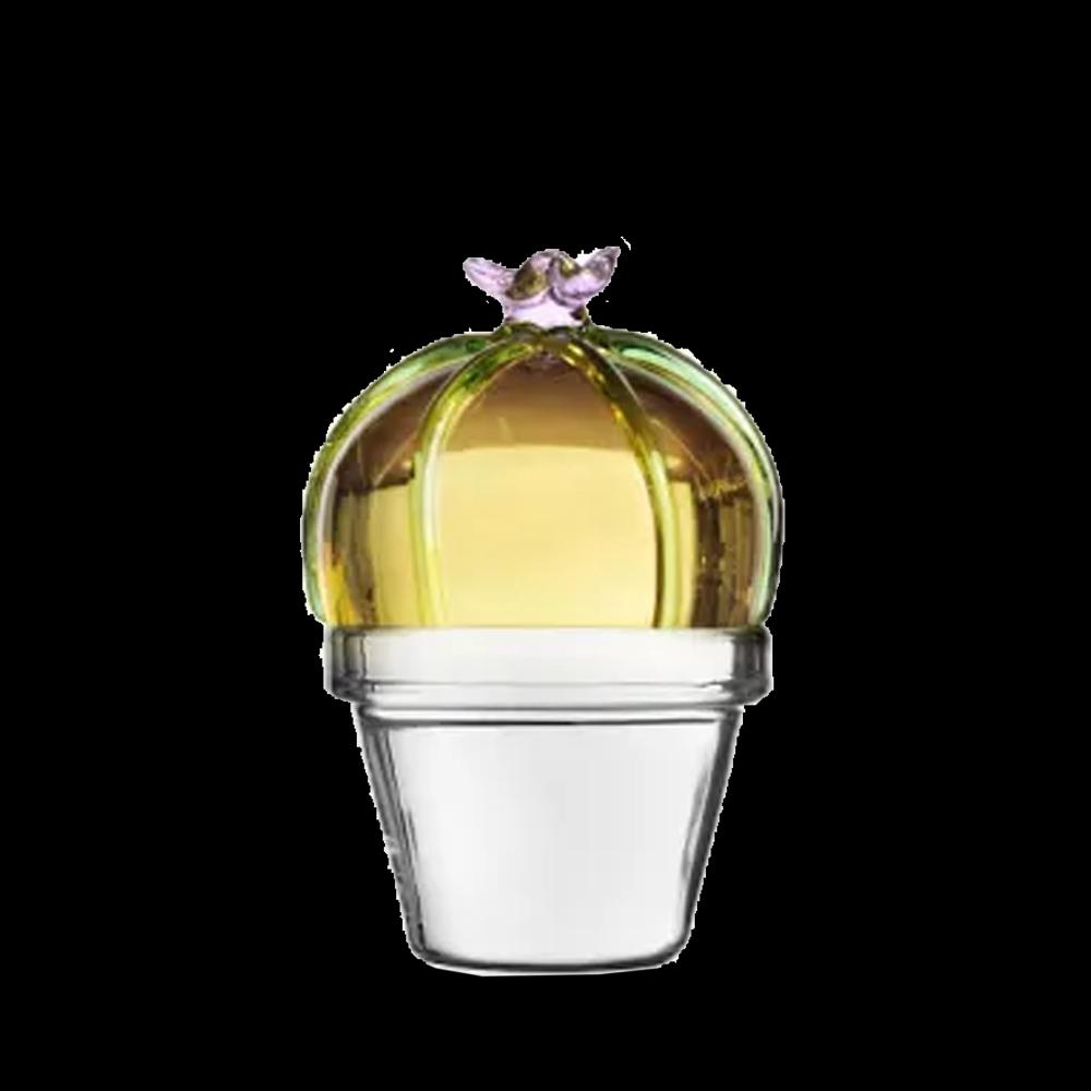 Sbam Design Fermacarte Decorativo Cactus Di Vetro