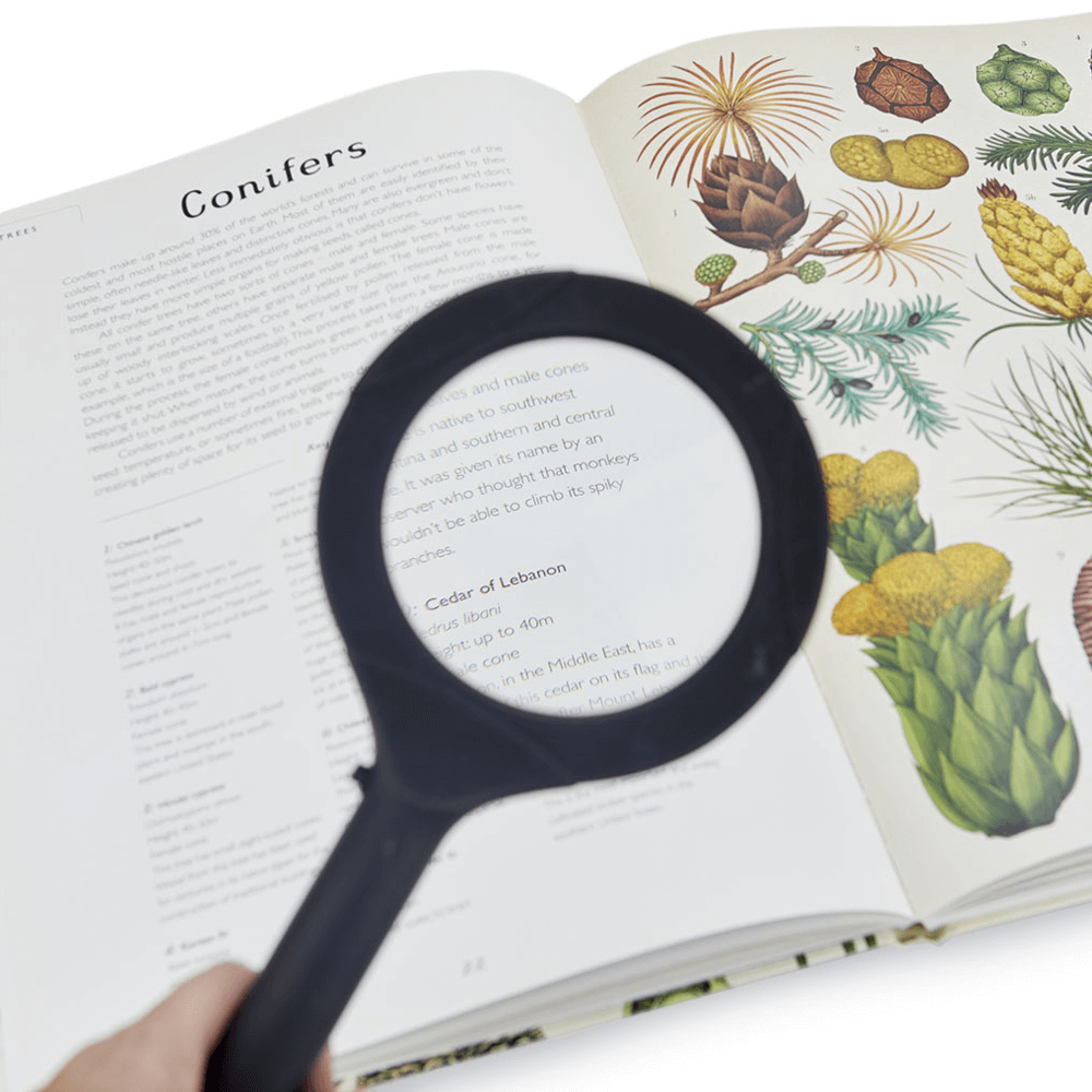 Sbam Design Lente D’ingrandimento Con Luce