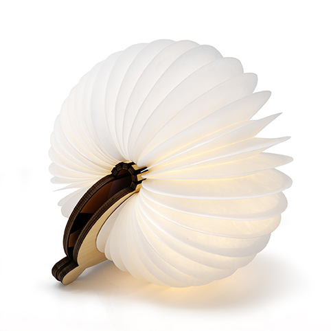 Sbam Design OObook – Libro Luminoso Jungle – Monkey