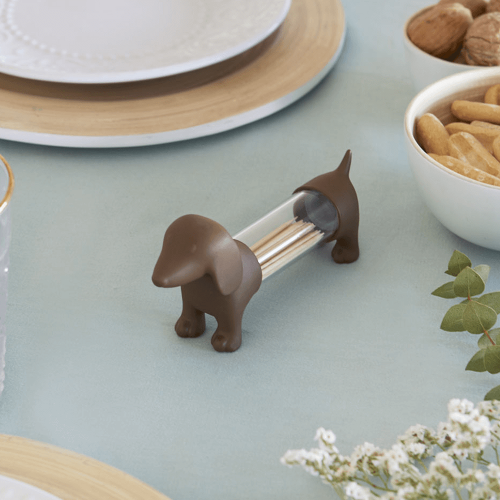 Sbam Design Porta Stuzzicadenti/saliera – Cane