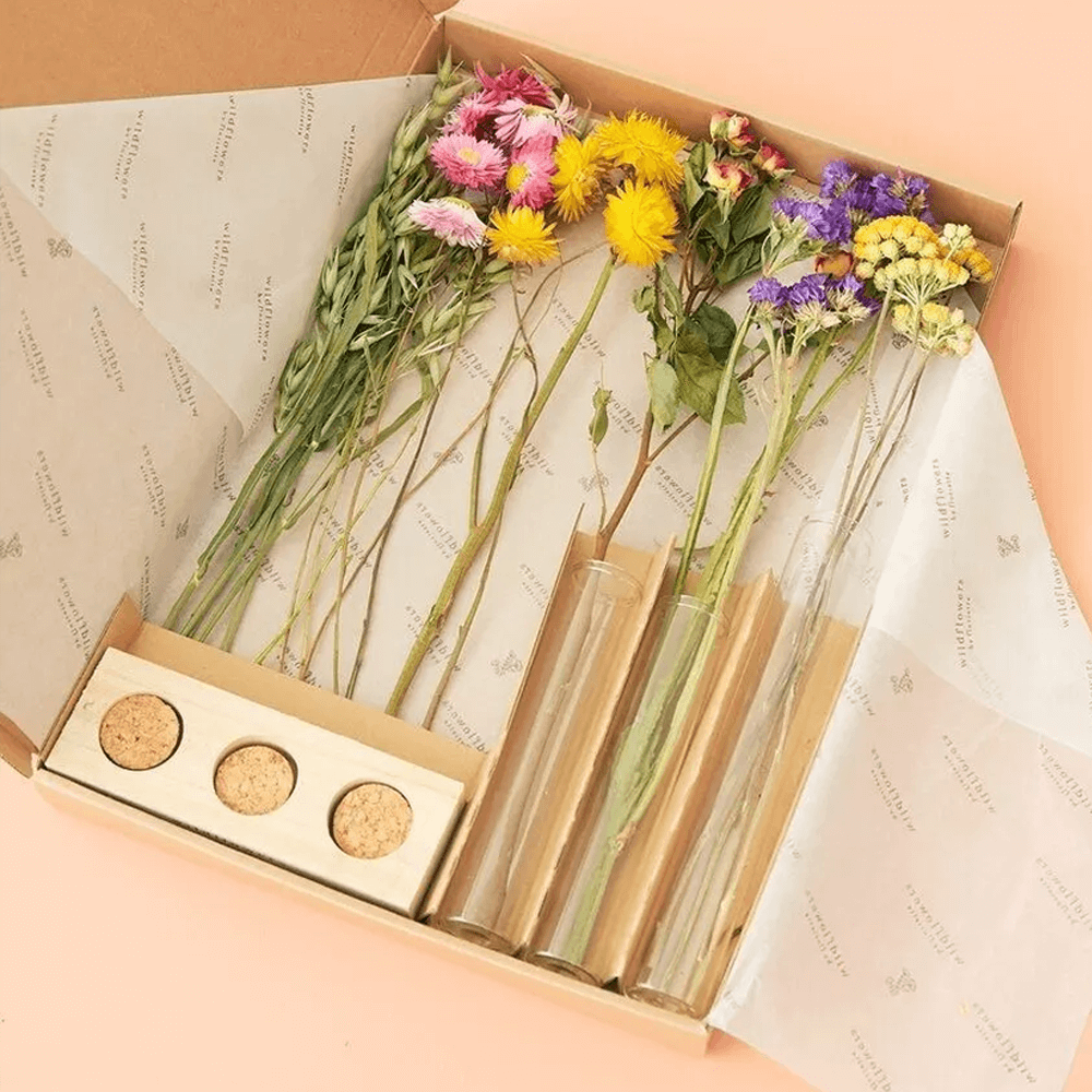 Sbam Design Set Fiori Secchi E Fialette