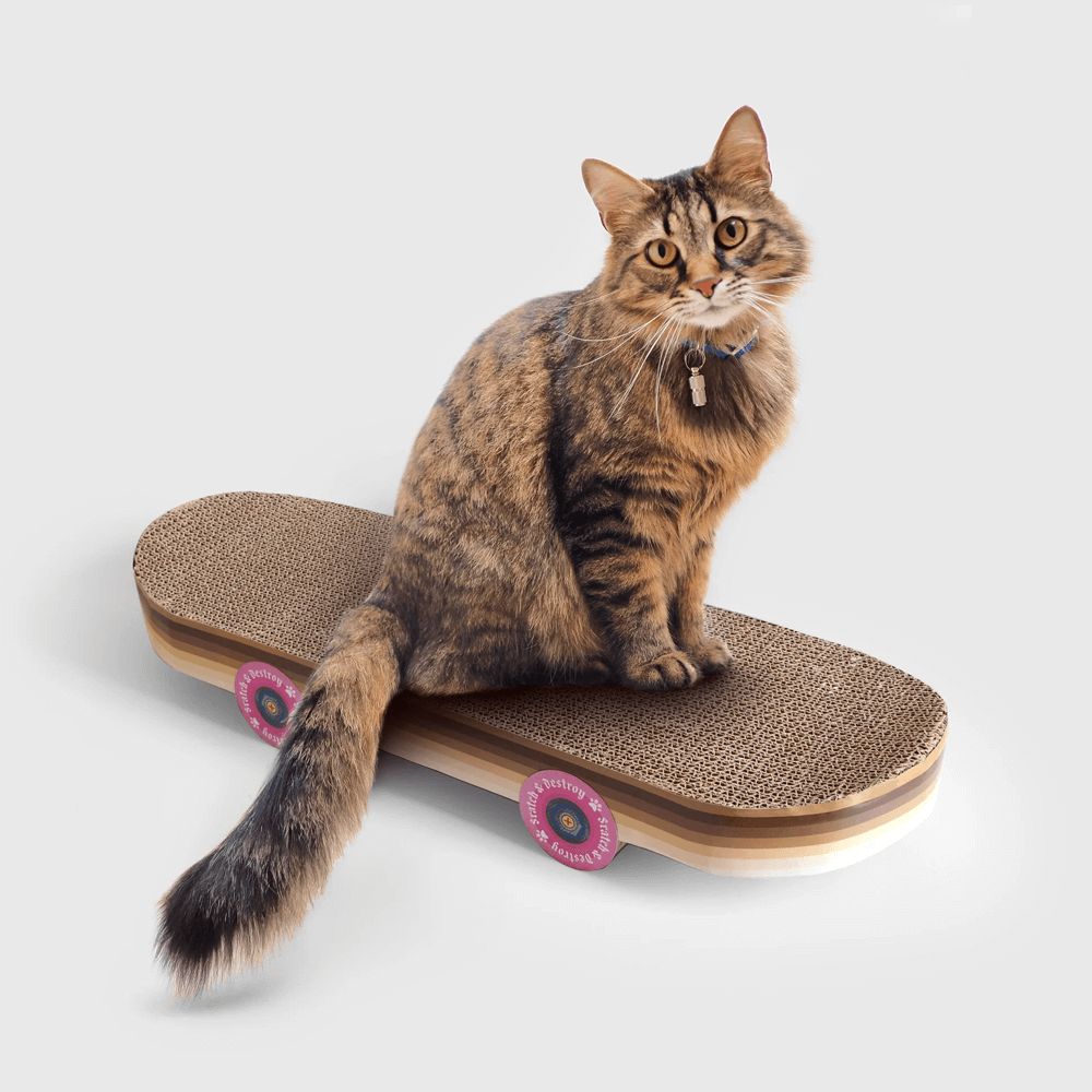 Sbam Design Skateboard Da Graffiare Per Gatti