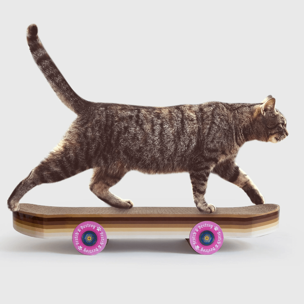 Sbam Design Skateboard Da Graffiare Per Gatti