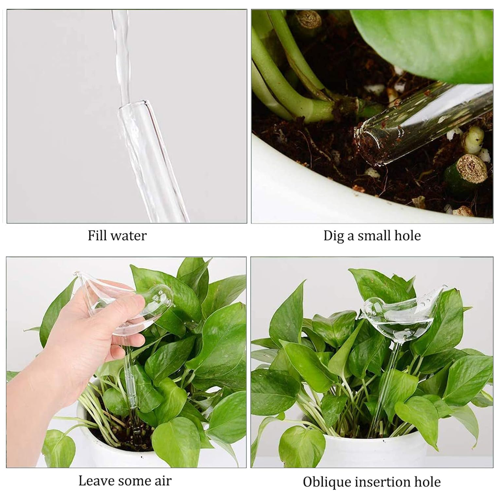 Sbam Design Uccellino In Vetro Per Autoirrigazione