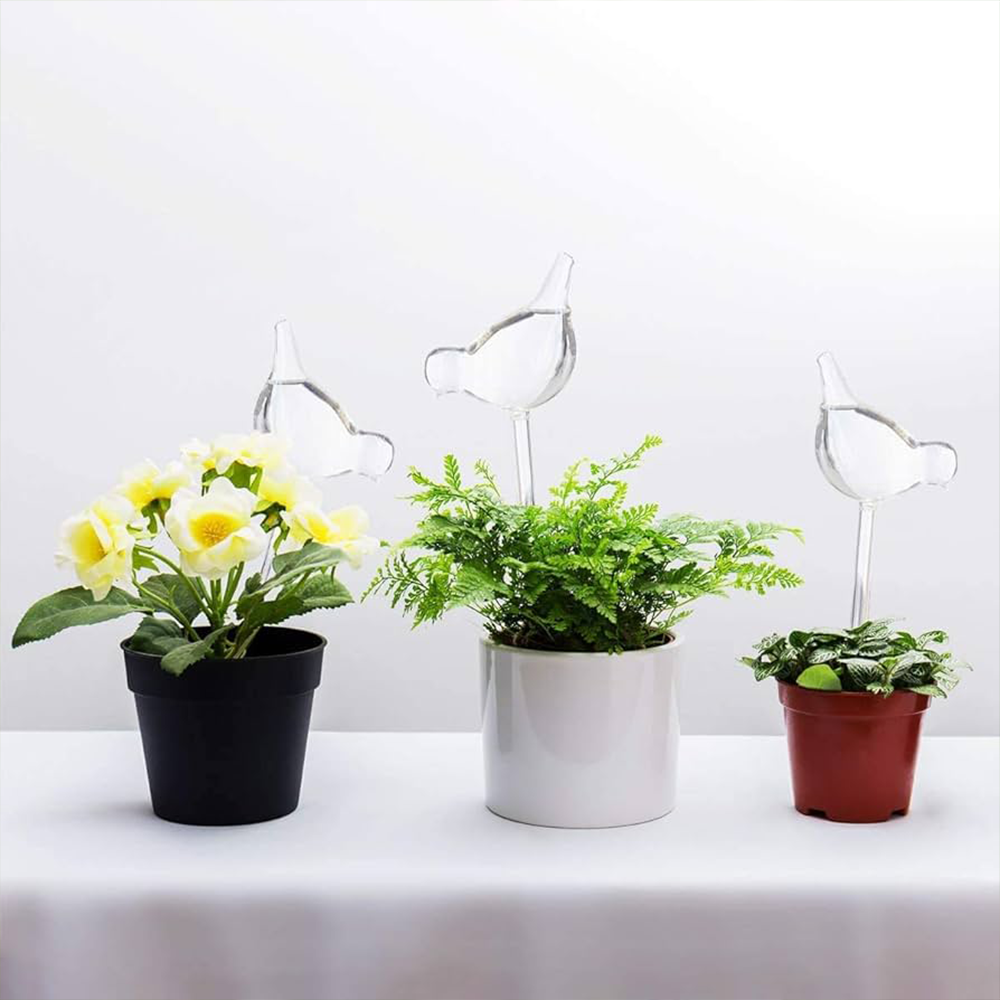 Sbam Design Uccellino In Vetro Per Autoirrigazione