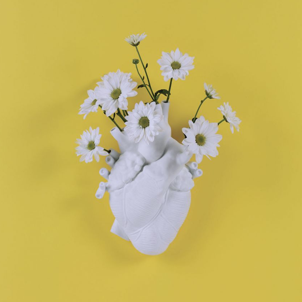 Sbam Design Vaso Cuore – Love In Bloom