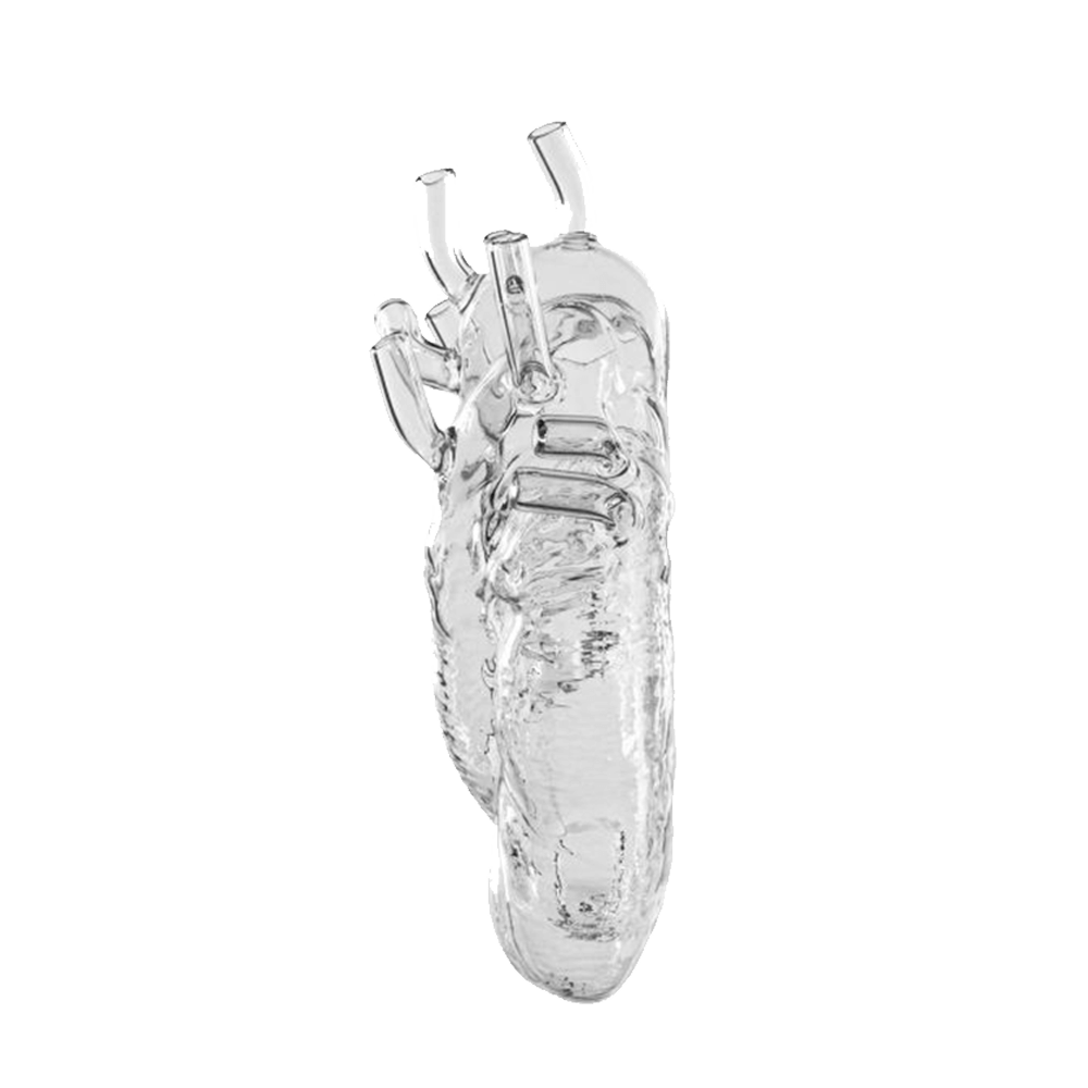 Sbam Design Vaso Cuore – Love In Bloom Glass