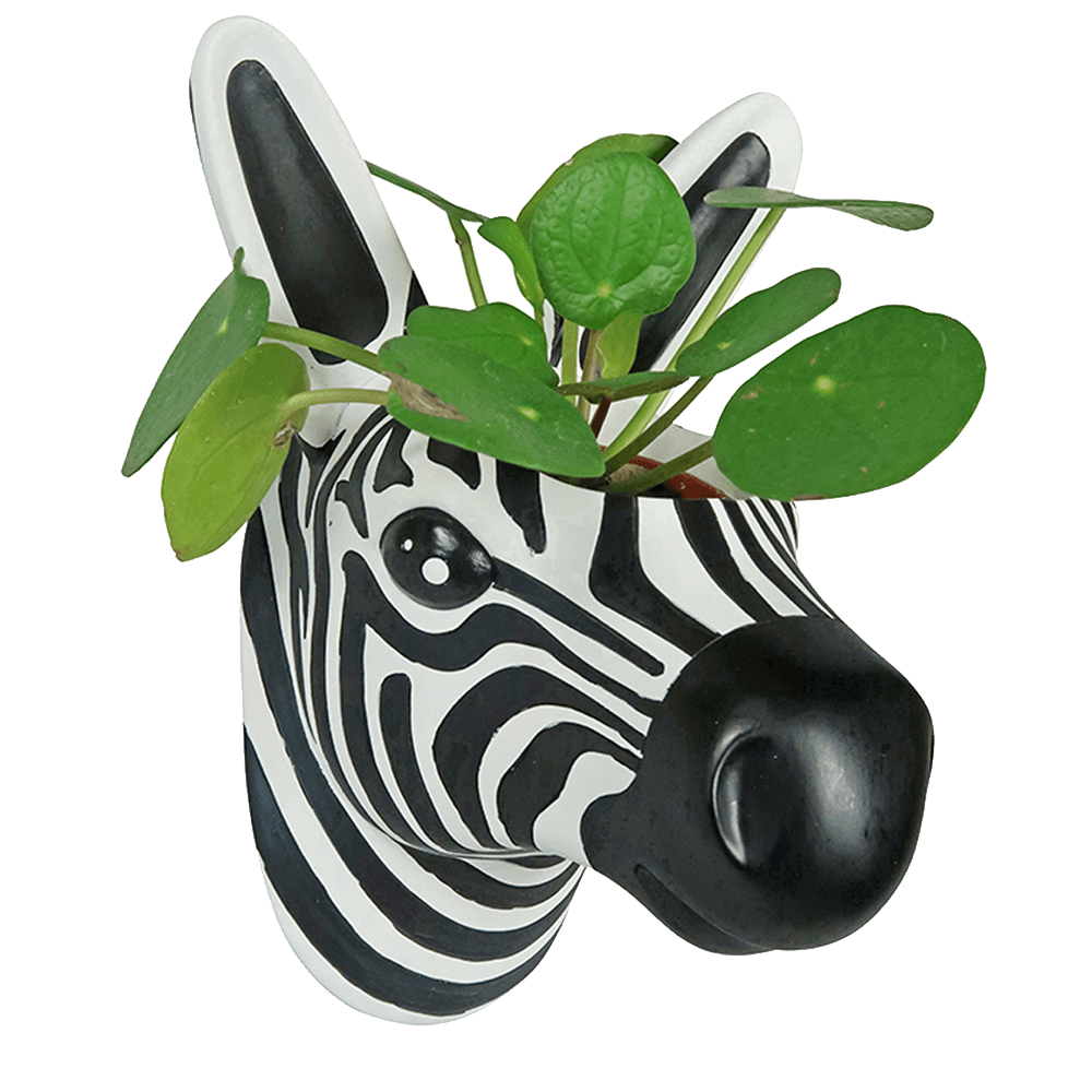 Sbam Design Vaso Da Parete – Zebra
