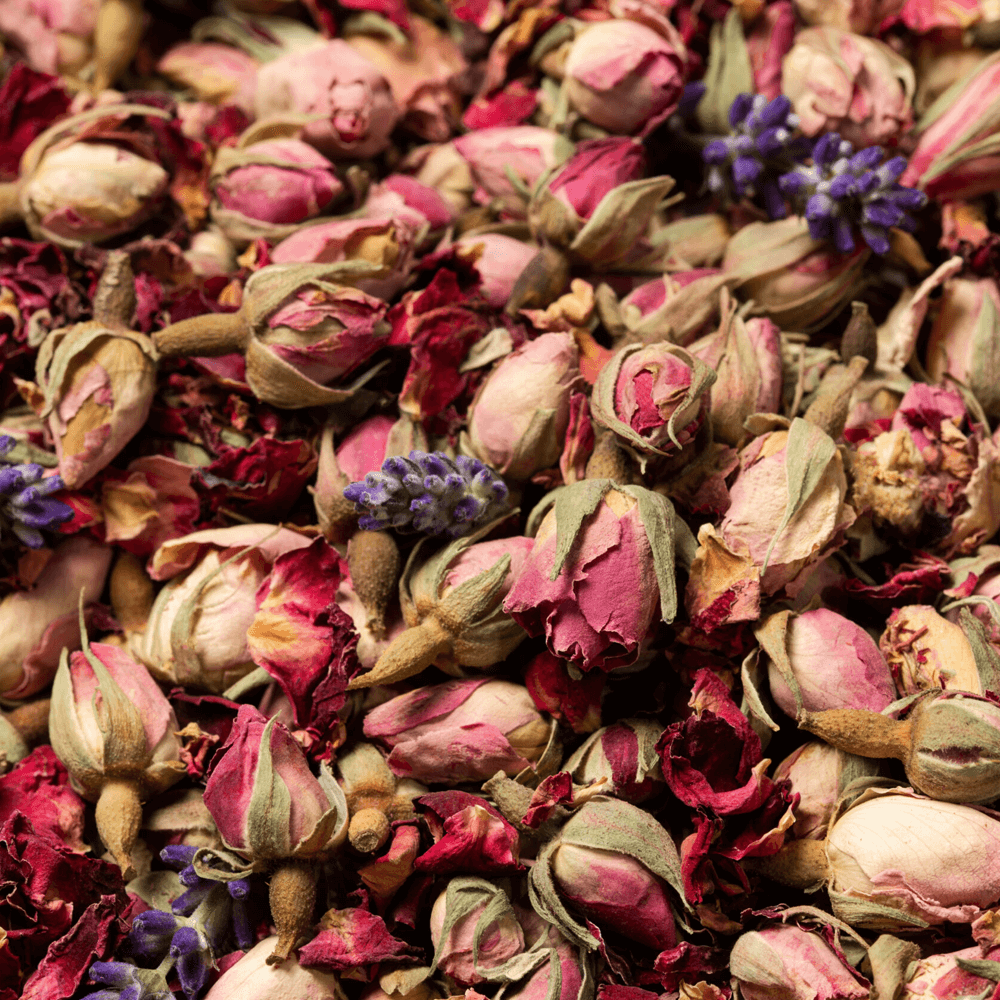 Sbam Design Snippers Bottiglia 350 Ml – Pink Gin – Fai Da Te