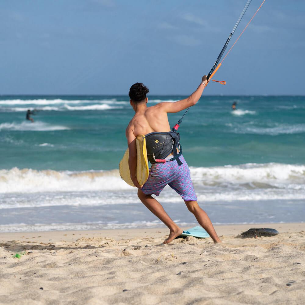 Seay Board Short Fancy Ocelot Alapai